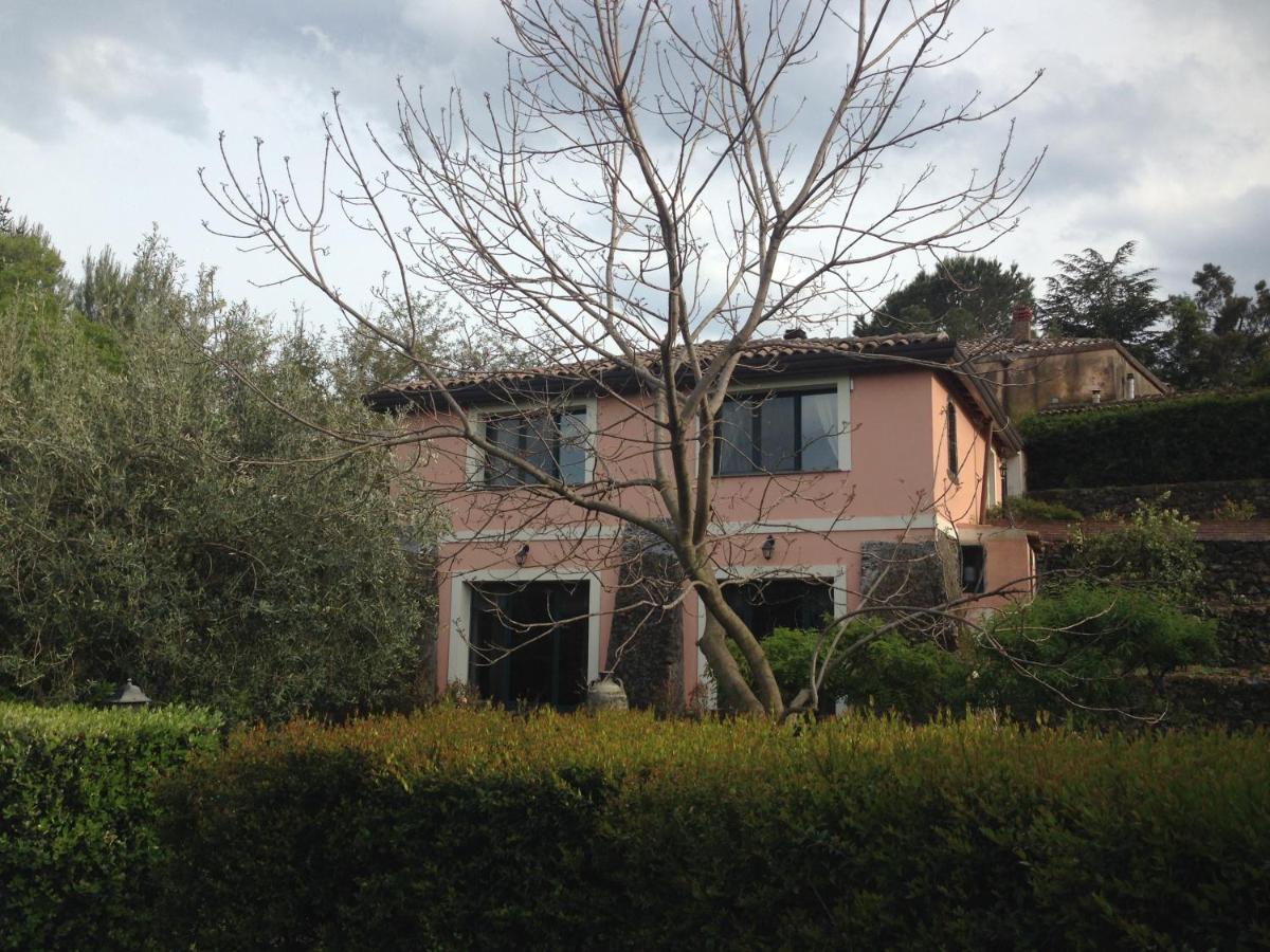 Bed And Breakfast Il Glicine 皮耶迪蒙泰埃特内奥 外观 照片
