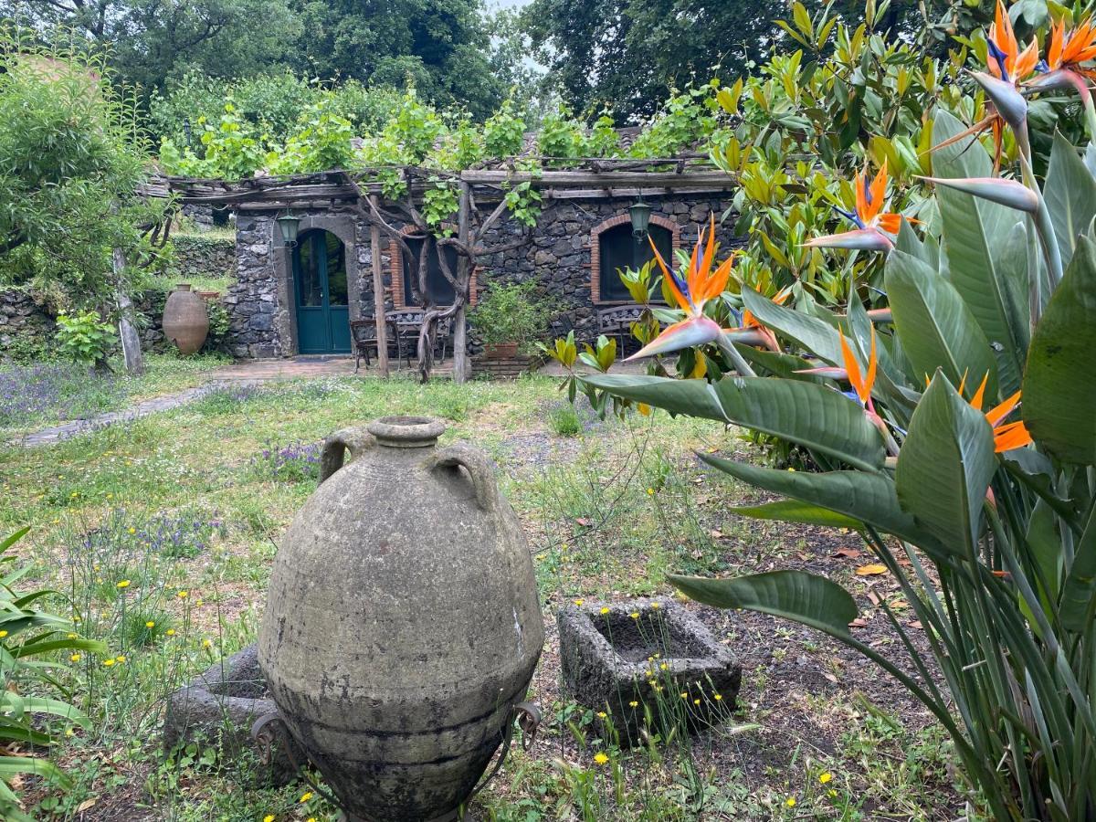 Bed And Breakfast Il Glicine 皮耶迪蒙泰埃特内奥 外观 照片