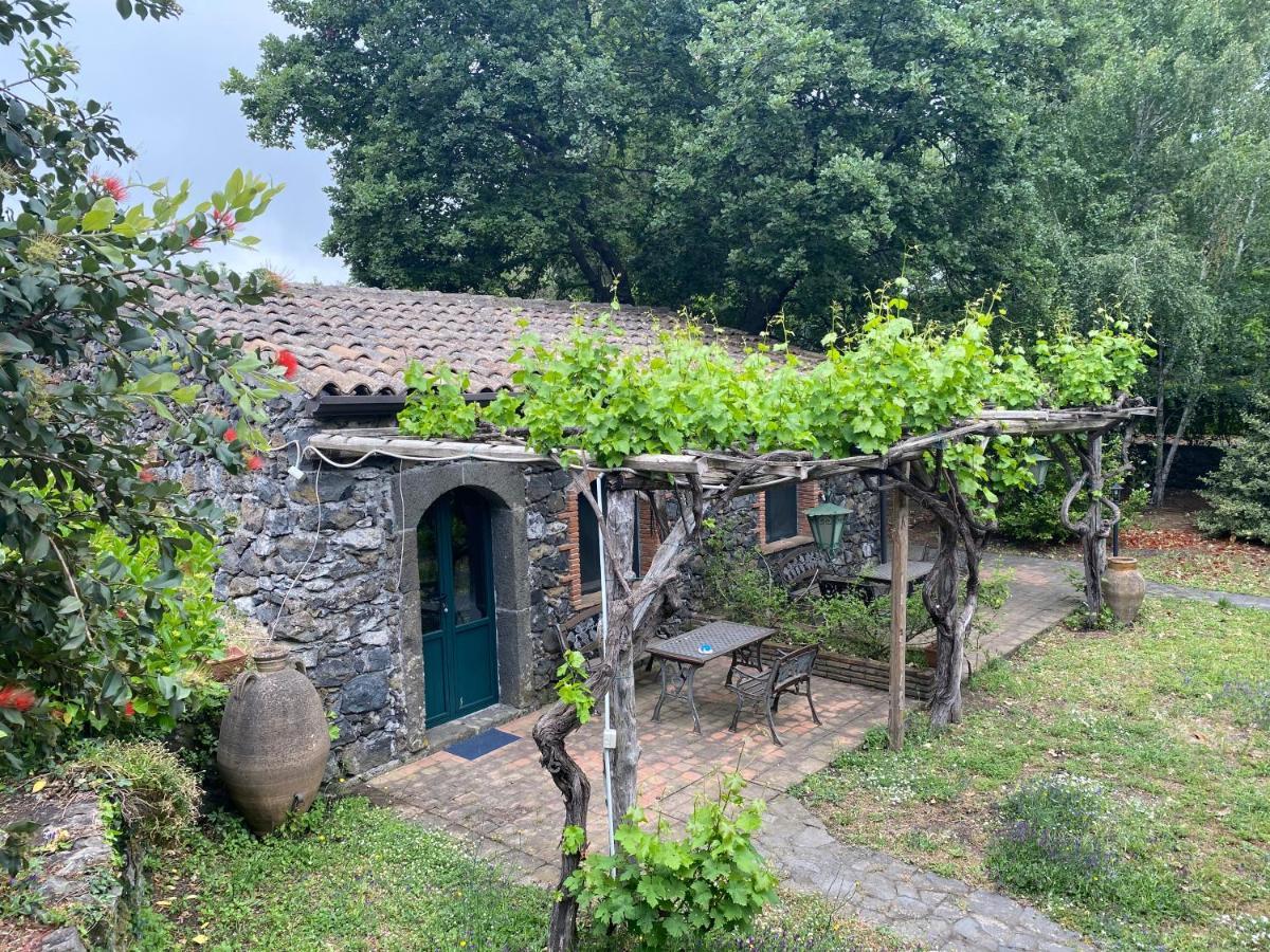Bed And Breakfast Il Glicine 皮耶迪蒙泰埃特内奥 外观 照片