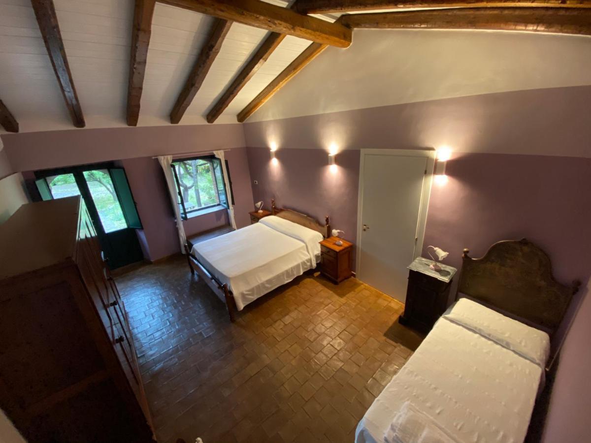 Bed And Breakfast Il Glicine 皮耶迪蒙泰埃特内奥 外观 照片