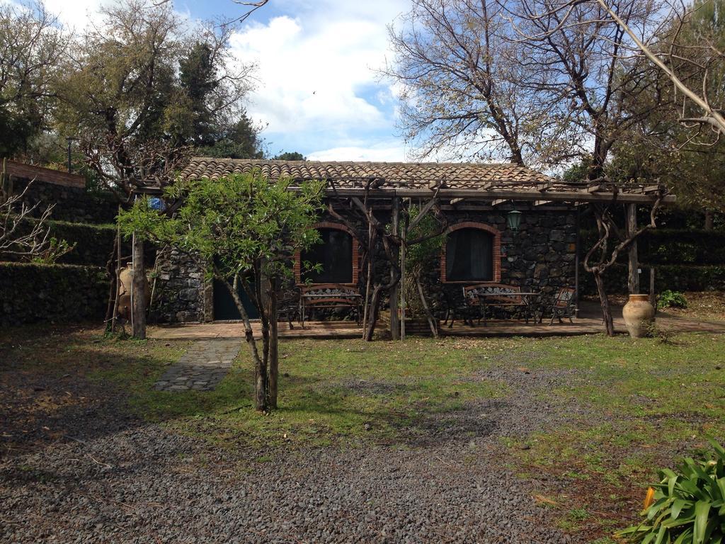 Bed And Breakfast Il Glicine 皮耶迪蒙泰埃特内奥 外观 照片