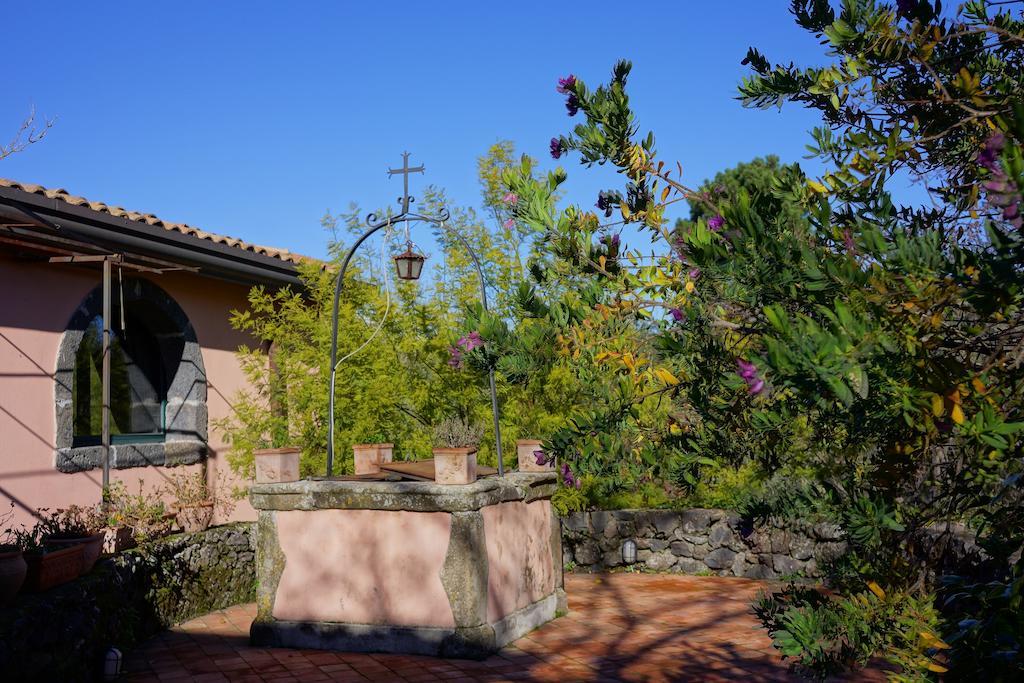Bed And Breakfast Il Glicine 皮耶迪蒙泰埃特内奥 外观 照片
